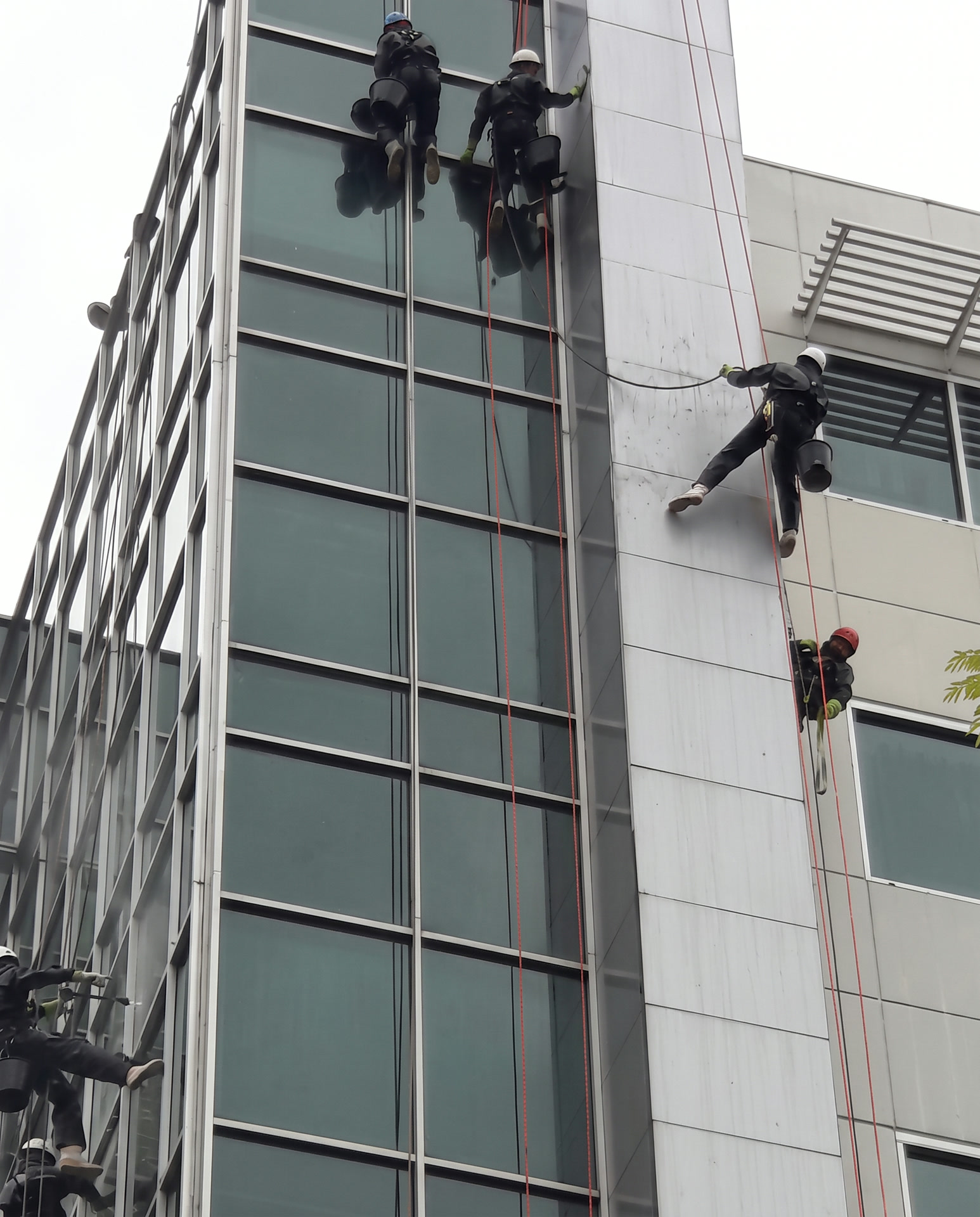 Equipe MS Alpinismo limpando fachada de vidro